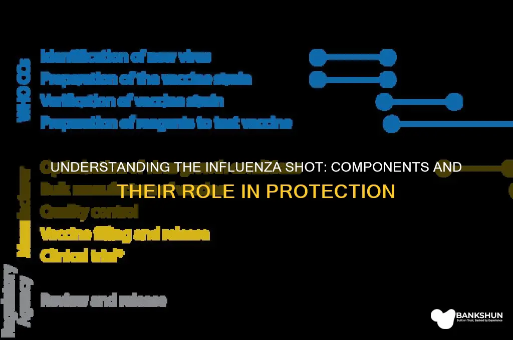 what is in the influenza shot vaccine