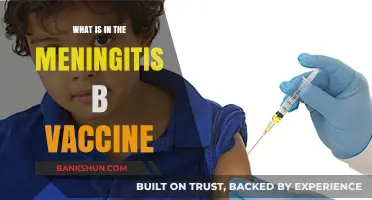 Understanding Meningitis B Vaccine: Ingredients, Purpose, and Protection Explained