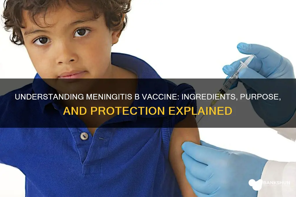 what is in the meningitis b vaccine