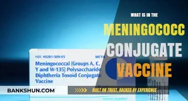 Understanding the Meningococcal Conjugate Vaccine: Ingredients and Protection