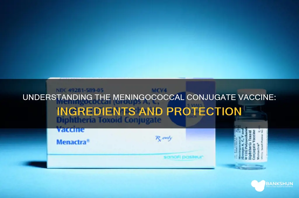 what is in the meningococcal conjugate vaccine