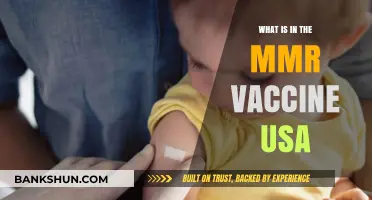 Understanding the MMR Vaccine: Ingredients, Safety, and Benefits in the USA