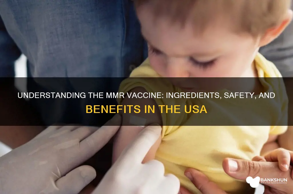 what is in the mmr vaccine usa