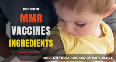 MMR Vaccine Ingredients: Understanding the Components and Their Purpose