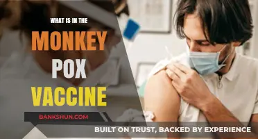 Understanding Monkeypox Vaccine: Ingredients, Safety, and How It Protects You