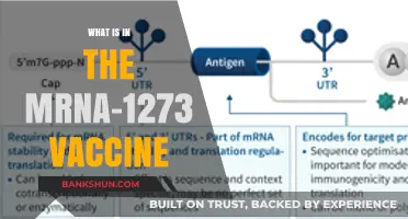 Understanding the mRNA-1273 Vaccine: Ingredients and Mechanism Explained