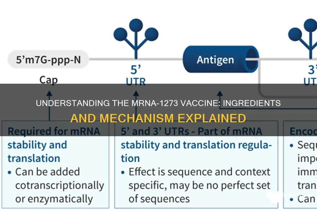 what is in the mrna-1273 vaccine