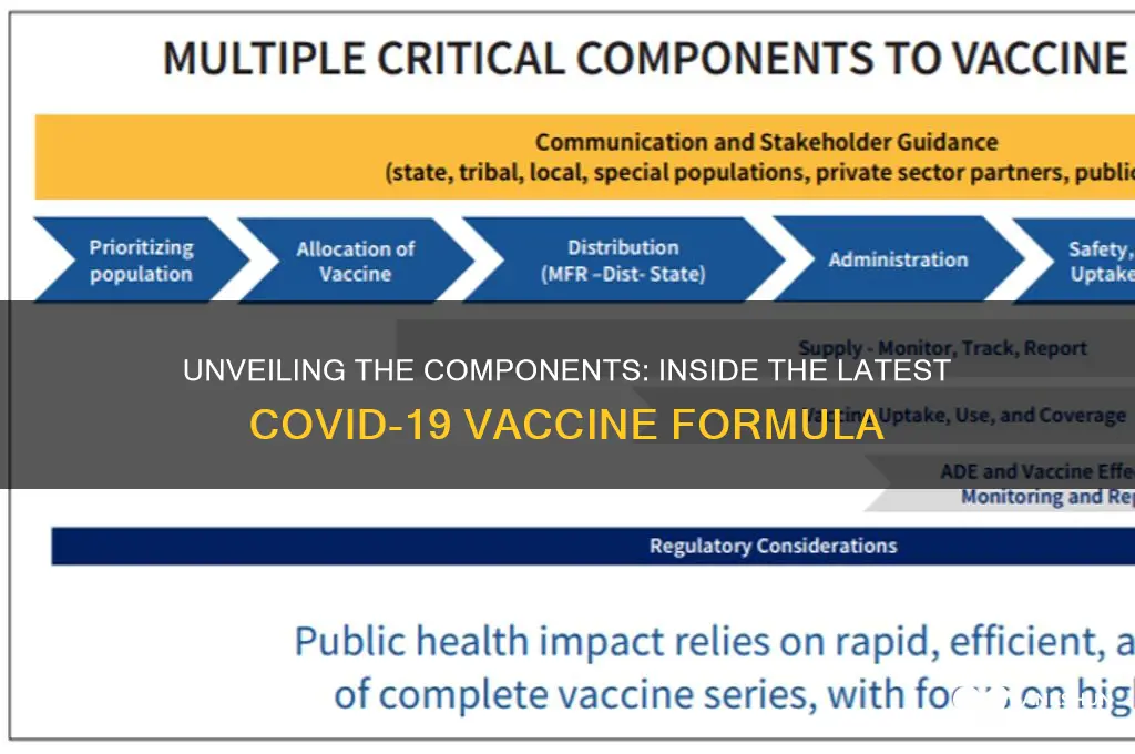 what is in the new corona vaccine