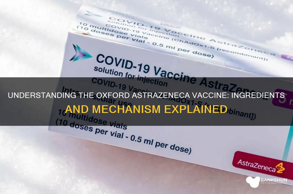 what is in the oxford astrazeneca vaccine
