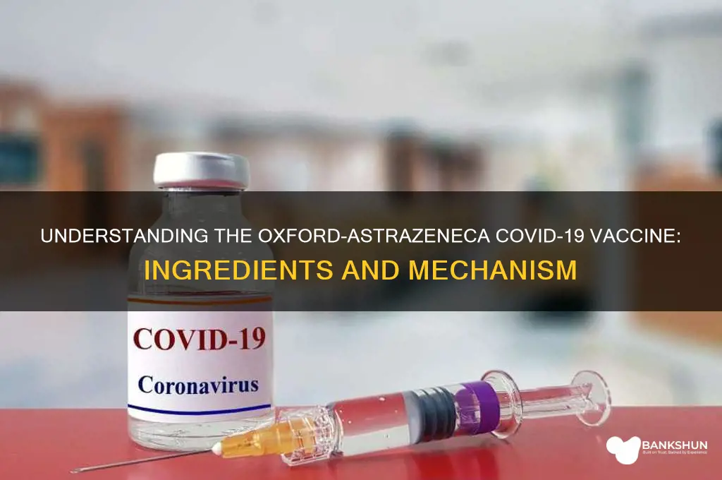 what is in the oxford coronavirus vaccine