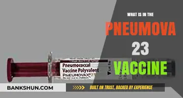 Understanding Pneumovax 23: Ingredients, Purpose, and Protection Explained