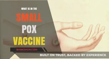 Understanding the Smallpox Vaccine: Ingredients, Mechanism, and Historical Impact