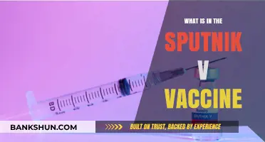 Sputnik V Vaccine: Ingredients, Mechanism, and Global Impact Explained