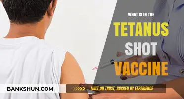 Understanding the Tetanus Shot: Ingredients and Their Role in Immunity
