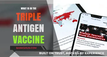 Understanding the Triple Antigen Vaccine: Components and Their Benefits