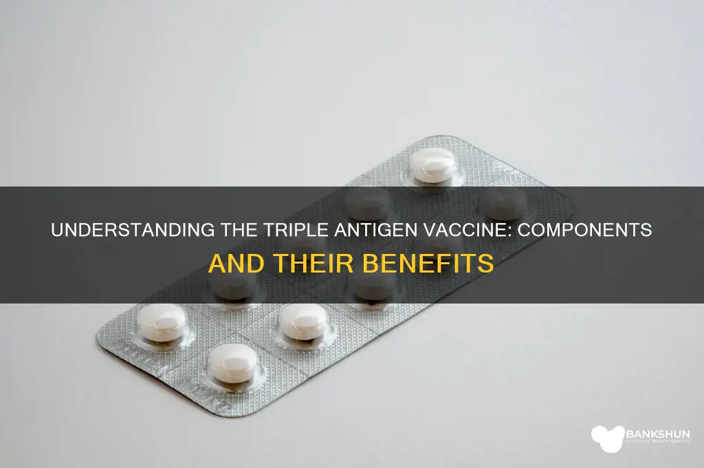 what is in the triple antigen vaccine