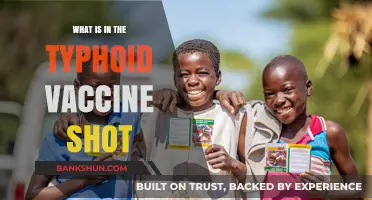 Understanding the Typhoid Vaccine: Ingredients and Protection Explained