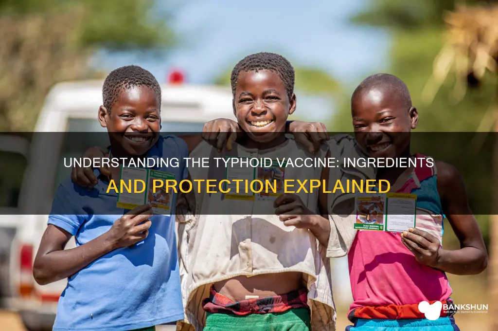 what is in the typhoid vaccine shot