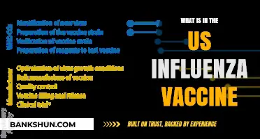 Understanding the Components of the US Influenza Vaccine