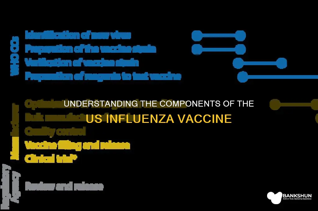 what is in the us influenza vaccine
