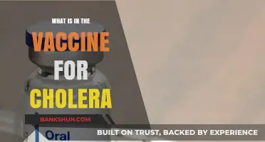 Understanding Cholera Vaccines: Ingredients, Safety, and How They Protect