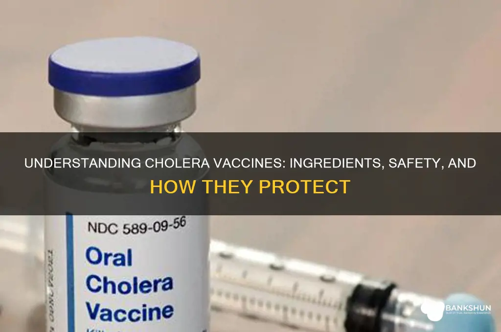 what is in the vaccine for cholera