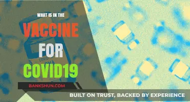 Understanding COVID-19 Vaccine Ingredients: A Comprehensive Breakdown