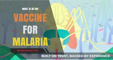 Understanding Malaria Vaccines: Ingredients, Mechanism, and Protection Explained