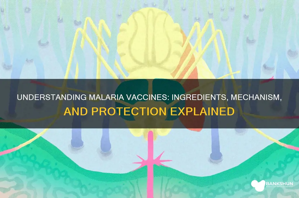 what is in the vaccine for malaria