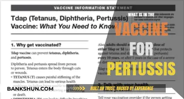 Understanding Pertussis Vaccine Components: What’s Inside the Shot?