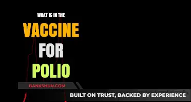 Understanding Polio Vaccine: Ingredients, Safety, and How It Works