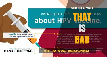Unraveling Vaccine Ingredients: Separating Fact from Fiction on Safety Concerns