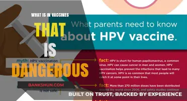 Unveiling Vaccine Ingredients: Separating Myths from Actual Safety Concerns