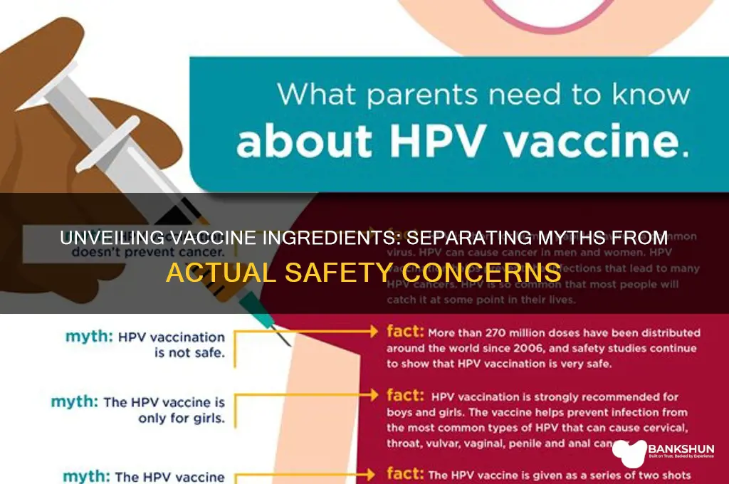 what is in vaccines that is dangerous