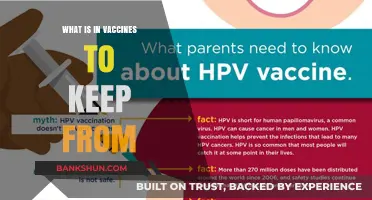 Understanding Vaccine Ingredients: What’s Inside and Why They’re Safe