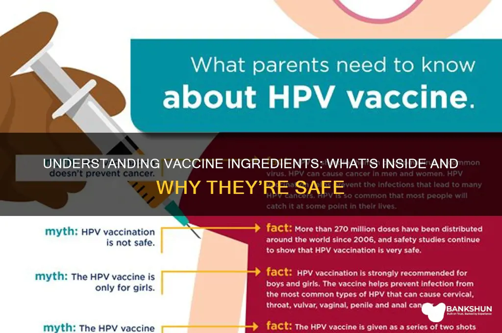 what is in vaccines to keep from