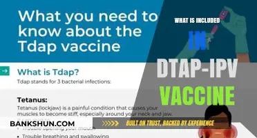 DTaP-IPV Vaccine Components: Protecting Against Diphtheria, Tetanus, Pertussis, and Polio