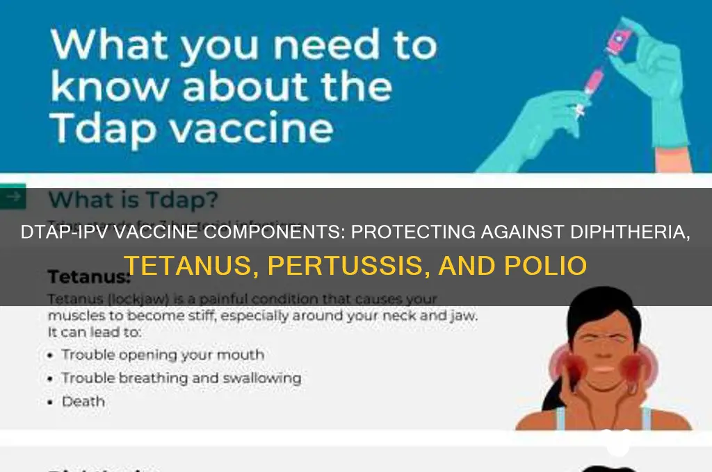what is included in dtap-ipv vaccine