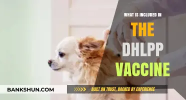 Understanding the DHLPP Vaccine: Essential Components for Canine Health Protection