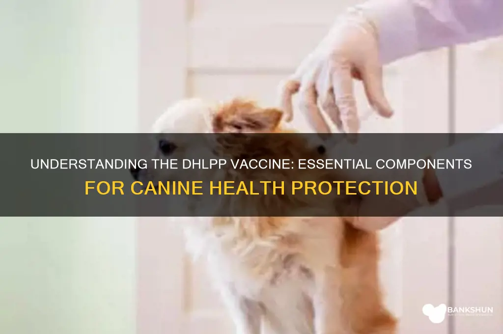 what is included in the dhlpp vaccine