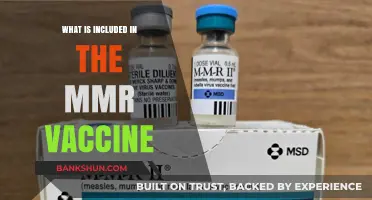 MMR Vaccine Components: Measles, Mumps, Rubella Protection Explained