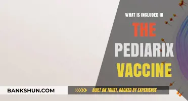 Pediarix Vaccine Components: Understanding What’s Included for Infant Immunization
