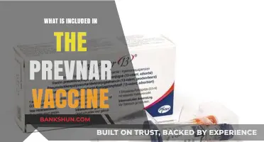 Understanding Prevnar Vaccine: Components, Benefits, and Protection It Offers