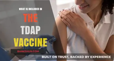 Understanding the Tdap Vaccine: Components and Their Protective Benefits
