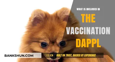 Vaccination DApp Essentials: Features, Benefits, and How It Works