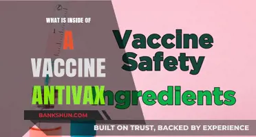 Unveiling Vaccine Ingredients: Debunking Antivax Myths and Misconceptions