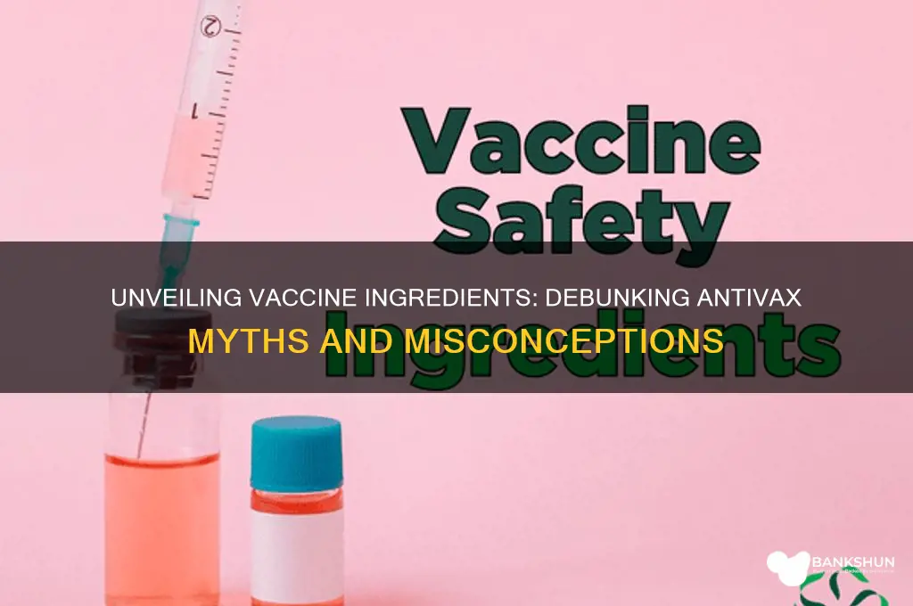 what is inside of a vaccine antivax
