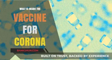Unveiling the Ingredients: What's Inside the COVID-19 Vaccine?