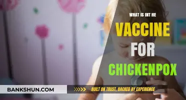 Understanding the Chickenpox Vaccine: Ingredients, Purpose, and Benefits Explained