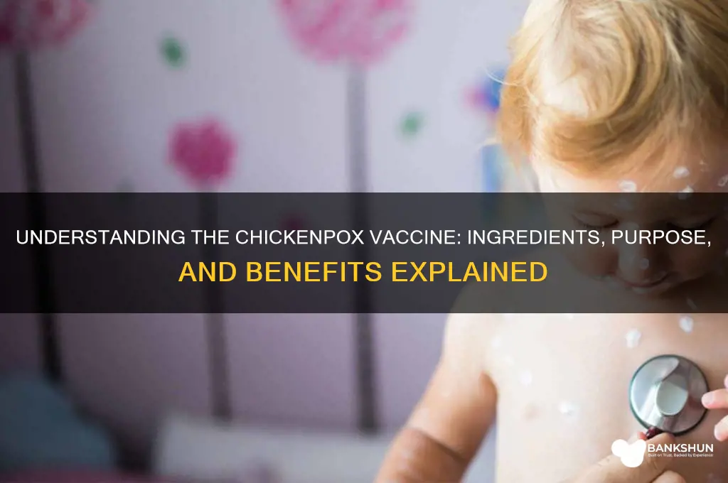 what is int he vaccine for chickenpox